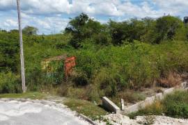 Residential Lot for Sale in Lacovia