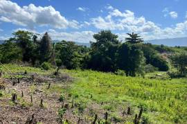 Residential Lot for Sale in Lacovia