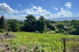 Residential Lot for Sale in Lacovia