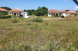 Residential Lot for Sale in Bushy Park