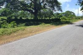 Residential Lot for Sale in Bushy Park