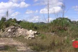 Residential Lot for Sale in Mandeville