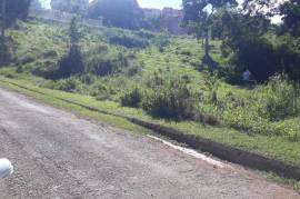 Residential Lot for Sale in Christiana