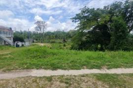 Residential Lot for Sale in Retreat