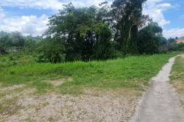 Residential Lot for Sale in Retreat