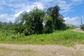 Residential Lot for Sale in Retreat