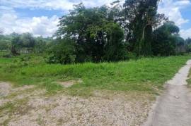 Residential Lot for Sale in Retreat