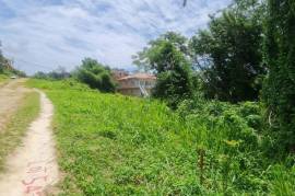 Residential Lot for Sale in Retreat