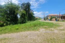 Residential Lot for Sale in Retreat