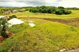 Residential Lot for Sale in Knockpatrick