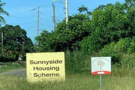 Residential Lot for Sale in Linstead