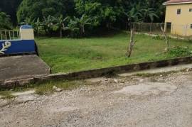 Residential Lot for Sale in Linstead