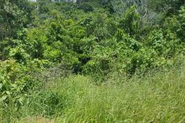 Residential Lot for Sale in Mandeville