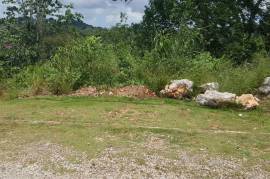 Residential Lot for Sale in Mandeville