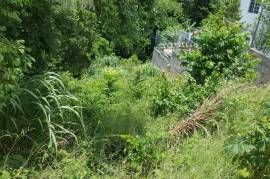 Residential Lot for Sale in Mandeville