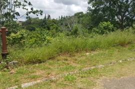 Residential Lot for Sale in Mandeville