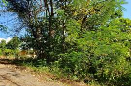 Residential Lot for Sale in Mandeville