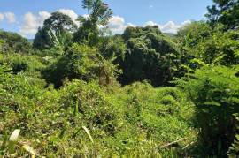 Residential Lot for Sale in Mandeville