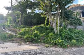 Residential Lot for Sale in Negril