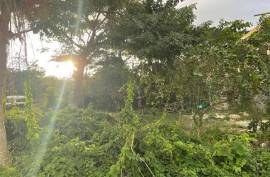 Residential Lot for Sale in Negril