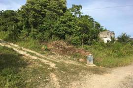 Residential Lot for Sale in Retreat