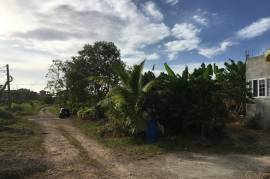 Residential Lot for Sale in Retreat