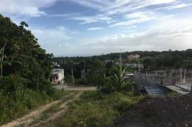 Residential Lot for Sale in Retreat