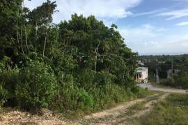 Residential Lot for Sale in Retreat