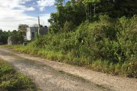 Residential Lot for Sale in Retreat