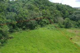 Residential Lot for Sale in Knockpatrick