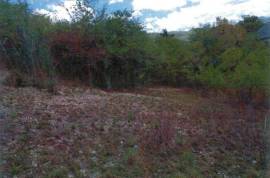 Residential Lot for Private in Middle Quarters