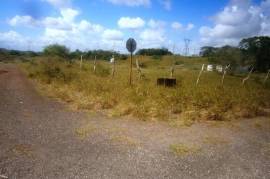 Residential Lot for Sale in Spur Tree