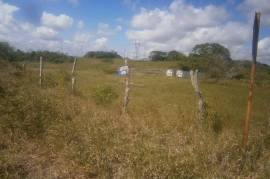 Residential Lot for Sale in Spur Tree