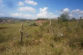 Residential Lot for Sale in Spur Tree