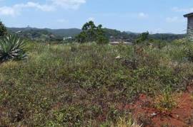 Residential Lot for Sale in Hat Field