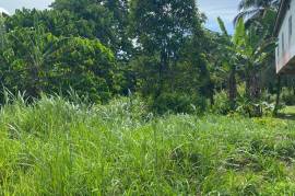 Residential Lot for Sale in Linstead