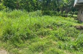 Residential Lot for Sale in Linstead