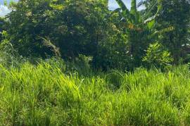 Residential Lot for Sale in Linstead