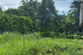 Residential Lot for Sale in Linstead