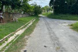 Residential Lot for Sale in Linstead