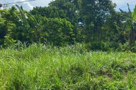 Residential Lot for Sale in Linstead