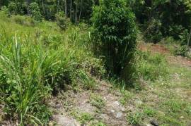 Residential Lot for Sale in Retreat