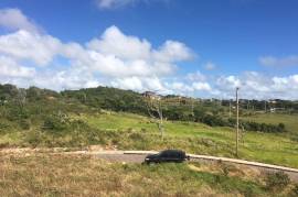 Residential Lot for Sale in Munroe College