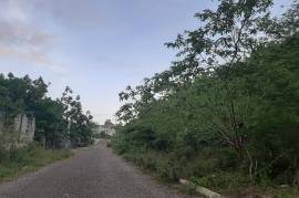 Residential Lot for Sale in Negril