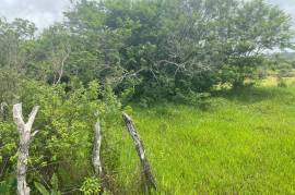 Residential Lot for Sale in Newport