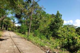 Residential Lot for Sale in Mandeville