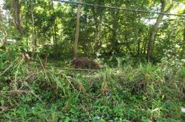 Residential Lot for Sale in Mandeville