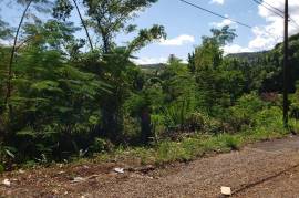 Residential Lot for Sale in Mandeville
