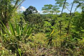 Residential Lot for Sale in Mandeville