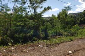 Residential Lot for Sale in Mandeville